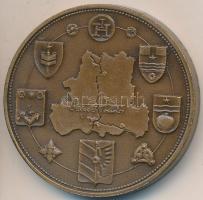 Lapis András (1942-) DN "Szeged Tourist" Br piefort emlékérem (43mm) T:2