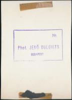 cca 1930 Dulovits Jenő (1903-1972): Aktfotó a természetben, finoman erotikus fénykép, pecséttel jelz...