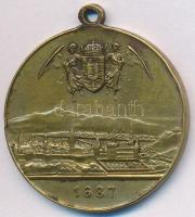 1896. "Magyarország ezeréves fennállása és Ős Budavára emlékére - 1896 / 1687" Br medál (2...