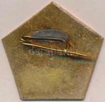 ~1980. "Ligeti Károly - Százhalombatta" munkásőr csapatjelvény (29mm) T:2