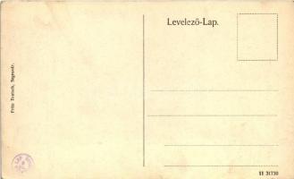 Segesvár, Látkép; kiadja Fritz Teutsch / view