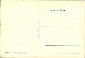 'Mindent vissza' az első bécsi döntés, irredenta grafikai lap; kiadja  Bruck Mihály, Budap...