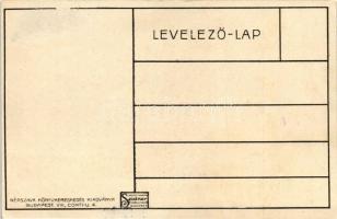 1913 A könnyező Mária kép; kiadja a Népszava könyvkereskedés / Hungarian anti-clerical propaganda s:...