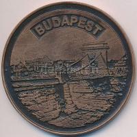 2003. "Budapest / Accor Pannonia 1993-2003" Br emlékérem (60mm) T:2