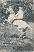 Horse rider (b)