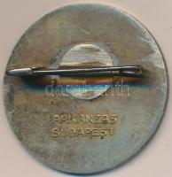 Reményi József (1887-1977) 1928. "Ipari Balesetek és Foglalkozási Betegségek V. Nemzetközi Nagy...