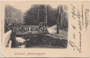 Szászkabánya, Malomvölgy, híd / valley, bridge (EB)