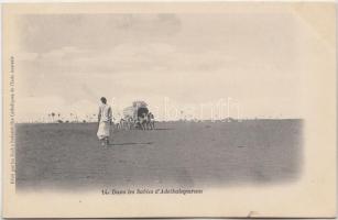 Adaikalapuram, in the sands, carriage, folklore