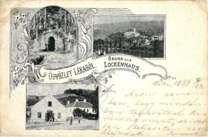 1899 Léka, Lockenhaus; Pálkút, Serfőzde / fountain, brewery; floral postcard (r)