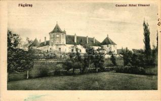 Fogaras, Vitéz Mihály kastély / castle