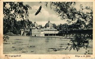 Hévízgyógyfürdő, gólya a tó felett (EK)