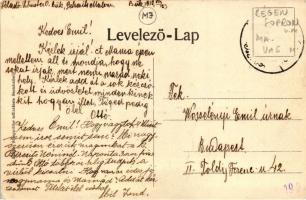 Bük, Orvoslak, Petresitcs malom, Thiering György vegyeskereskedése; kiadja Steegmüller műintézete