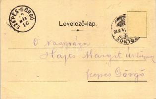 1899 Szolnok, Megyei kaszinó, honvéd szobor, Kalmár Miksa divat és fehérnemű nagyáruháza; floral (EB...