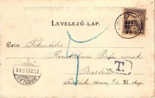 Hajdúszoboszló, Református templom, lovasfogat