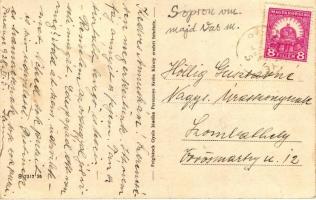 Peresznye, Gróf Berchtold Lipót kastélya; Feiglstock Gyula kiadása