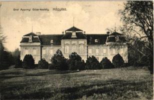 Hőgyész, Gróf Apponyi Géza kastélya (EB)