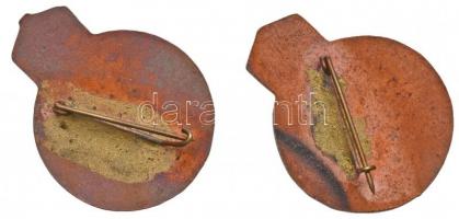 ~1970. "Vasas Izzó Természetjáró Szakosztály - 25" zománcozott tombak jelvény (27x35mm) + ...