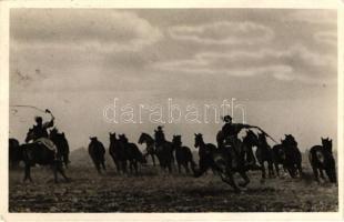 Hortobágy, ménes a pusztán, folklór