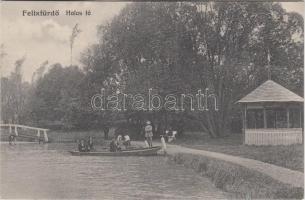 Félixfürdő, Halas tó / lake