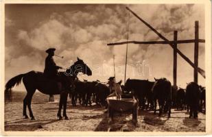 Hortobágyi csikós, folklór (EK)