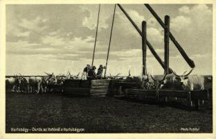 Hortobágy, Ökrök az itatónál, folklór