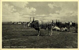 Hortobágy, Bikagulya, folklór