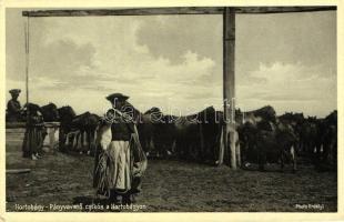 Hortobágy, pányvavető csikós, folklór