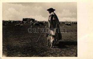 Hortobágy, juhász