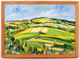 Eösze jelzéssel: Dombos vidék. Olaj, farost, keretben, 41×58 cm