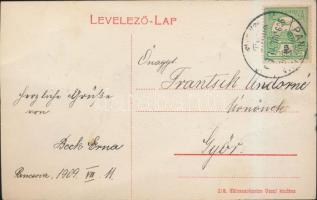 Pancsova, Főgimnázium; Miloszavljevics Vazul kiadása / grammar school