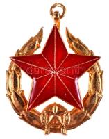 1951-. "Közbiztonsági Érem" arany fokozata a rendőrség tagjai részére mellszalag nélkül T:1-