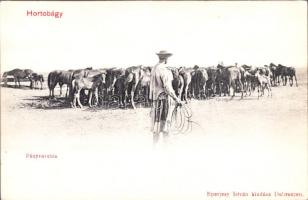 Hortobágy, Pányvavetés, Eperjesy István kiadása