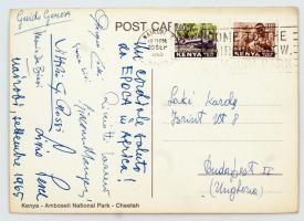 Laky Károly vízilabda mesteredző levelezése, általa és neki küldött képeslapok sok érdekes aláírássa...