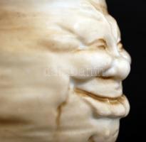 C.G.Schierholz & Sohn nevető fejű korsó zellergyökér tetővel, porcelánfajansz-ón szerelékkel, je...