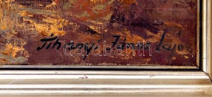 Tihanyi János Lajos (1892-1957): Balaton-part, olaj, vászon, jelzett, fa keretben, 69×100 cm