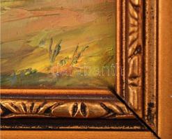 Olvashatatlan jelzéssel: Máramarosi szénaboglyák, olaj, farost, díszes fa keretben, 16×11 cm