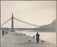 cca 1930 Az Erzsébet híd a pesti oldalról nézve, fotó, 18,5×22 cm /  cca 1930 The Elisabeth Bridge, seen from the Pest side, photo, 18,5×22 cm