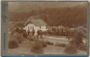 Tusnádfürdő vasútállomása, keményhátú fotó, Incze Lajos sepsiszentgyörgyi műterméből, hátulján feliratozva, 6,5×10,5 cm /  The railway station of Băile Tuşnad/Bad Tuschnad, photo from the workshop of Lajos Incze of Sfântu Gheorghe/Gergen, 6,5×10,5 cm