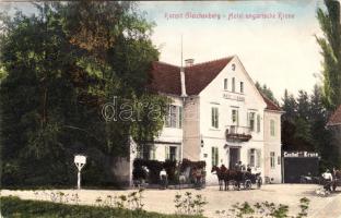 Gleichenberg, Hotel Ungarische Krone , horse cart (fl)