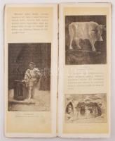 1897 Út a halhatatlanság forrásához. Szerk.: Basch Árpád. Bp., 1897, Kosmos Műintézet. A Magyar Képz...