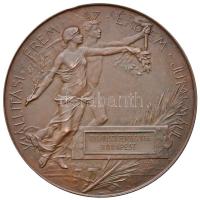 Beck Ötvös Fülöp (1873-1945) 1896. Milleniumi kiállítási emlékérem Br emlékérem. 1896-IKI EZREDÉVES ORSZÁGOS KIÁLLÍTÁS / KIÁLLÍTÁSI ÉREM AZ ÉRDEM JUTALMÁUL (70mm) T:2 ph. Hungary 1896. Medal of the Millenium Exhibition Br commemorative medallion. Sign.: Fülöp Beck Ötvös (70mm) C:XF edge error HP 752.