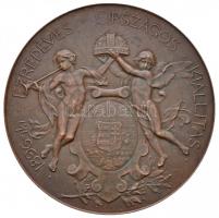 Beck Ötvös Fülöp (1873-1945) 1896. "Milleniumi kiállítási emlékérem" Br emlékérem. "1...