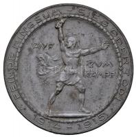 Osztrák-Magyar Monarchia ~1915. "Hötzendorf vezérezredes" Zn emlékérem "M&W.ST&qu...