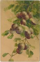 Fruit, litho s: C. Klein (EB)