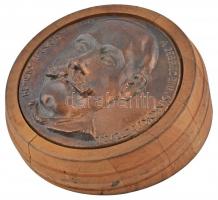 DN "Kemény János vendéglős, a debreceni diákok jóltevője" Br plakett fakeretben (158mm) T:...