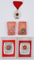 ~1960-1970. "Szocialista Brigád - A szocializmusért" (2x) arany és ezüst változat plasztiktokban, jelvényekkel és miniatűrökkel + 5db "A Szocialista Brigád" viselésére jogosító oklevél, egyik kitöltött + "Munka Érdemrend" ezüst fokozata mellszalagon + 1968. Kitüntetés átadására való meghívó T:vegyes
