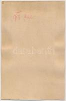 1918 Tüzértiszt fotója, kartonra ragasztva, makói fotóműhelyből (Homonnai), hátulján feliratozva, 24...