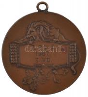 Szigethy István (1891-1966) 1937. "Huj huj hajrá / Z.P.L.E. 1937. E. VII." Br díjérem &quo...