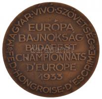 1912. "Magyar Vívó Szövetség - Európa Bajnokság Budapest 1933" Br részvételi érem (35mm) T...
