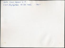 1961 Győr, Fürst Sándor utca 9., hátoldalon feliratozva, 24x17 cm